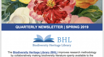 screenshot of the 2019 spring BHL newsletter