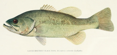 Read the full blog post