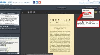 Screenshot of the book viewer in the Biodiversity Heritage Library with the "download article" option highlighted in the download contents menu.