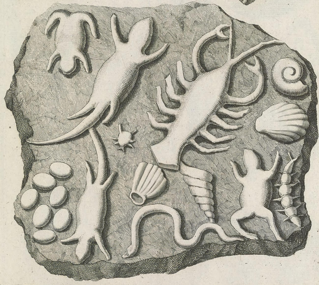 Illustration of fake fossils