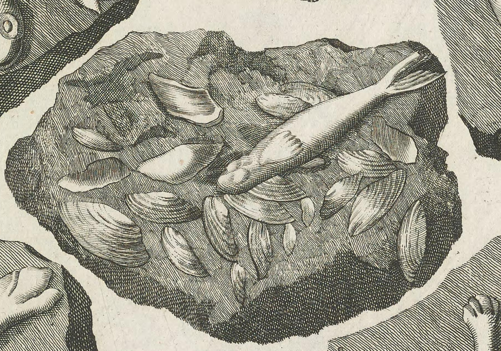 Illustration of a fake fossil