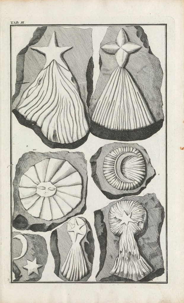 Illustration of fake fossils.