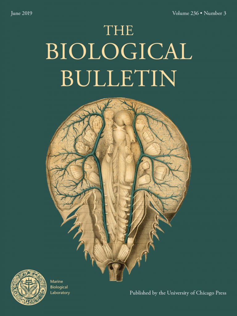 Cover of the Biological Bulletin with a horseshoe crab on it.