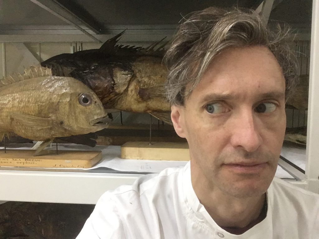 Man in a white shirt standing in front of a dried fish specimen.