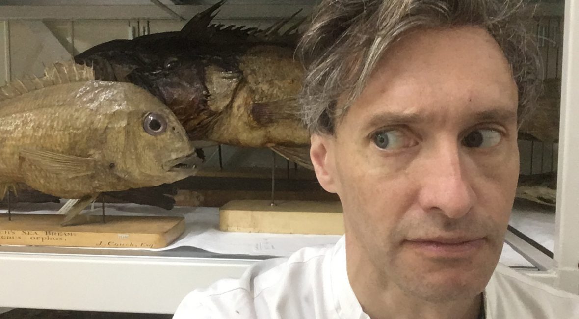 Read the full blog post