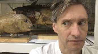 Man in a white shirt standing in front of a dried fish specimen.