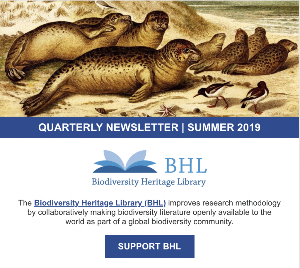 screenshot of the summer 2019 newsletter