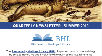 screenshot of the summer 2019 newsletter