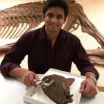 Man holding a fossil specimen
