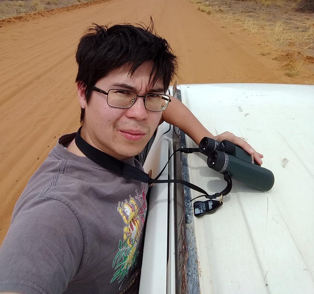 photo of a person standing on a car with binoculars