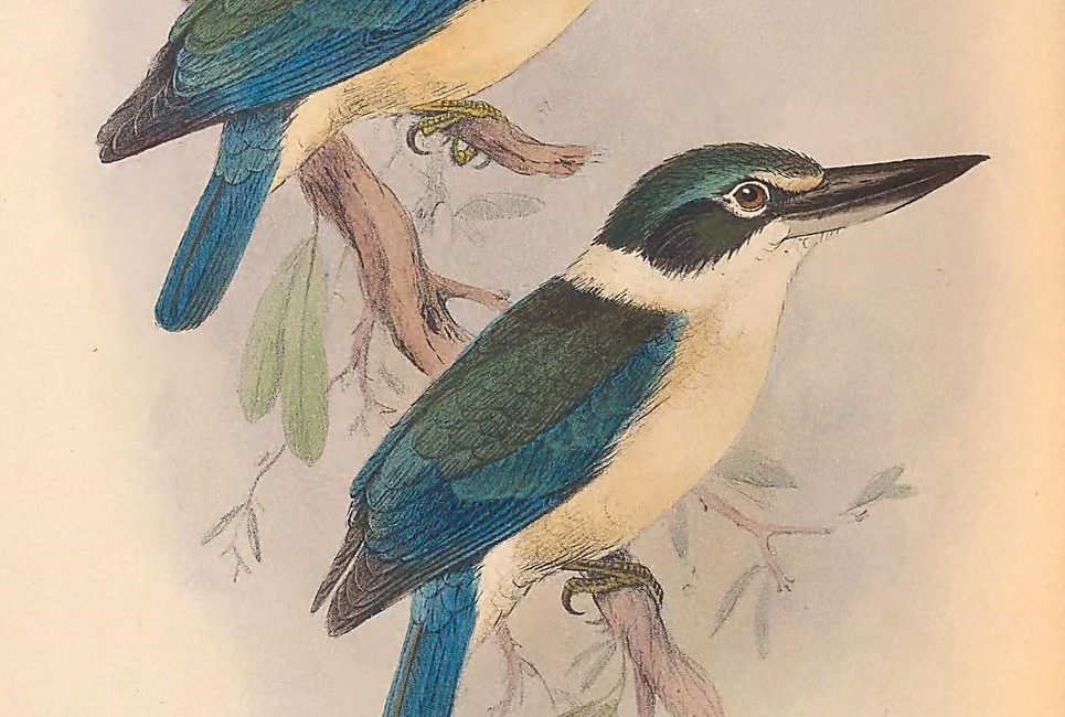 Read the full blog post