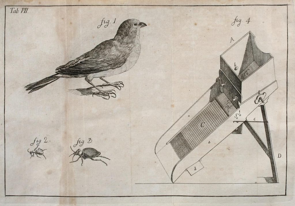 illustration of a bird, box, and insect