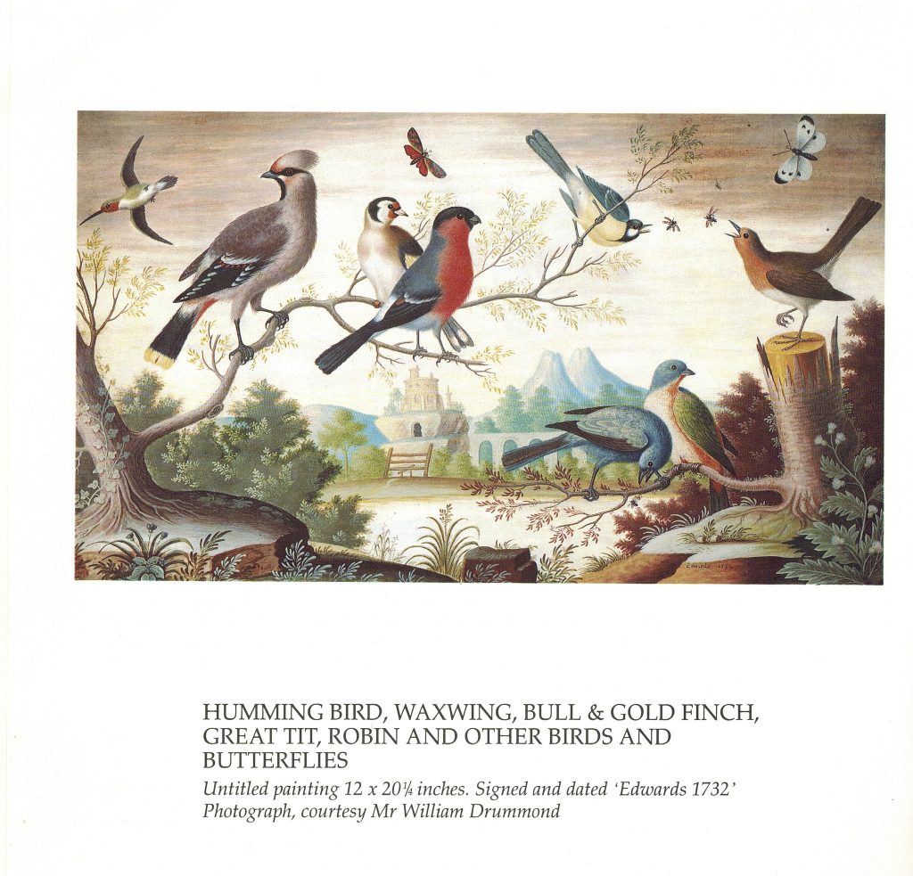 various birds perched on a scenic background