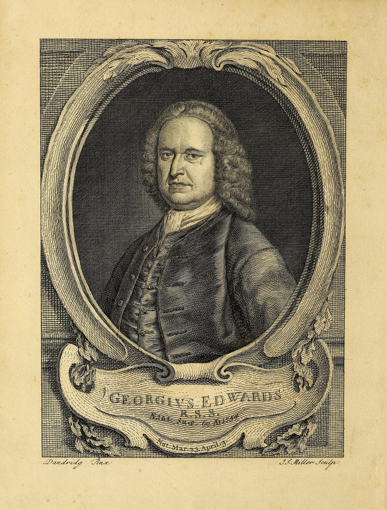 black and white portrait of a man