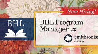 now hiring bhl program manager