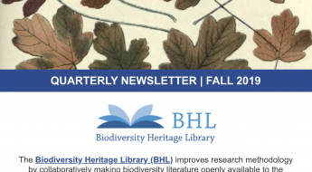screenshot of the fall 2019 BHL newsletter