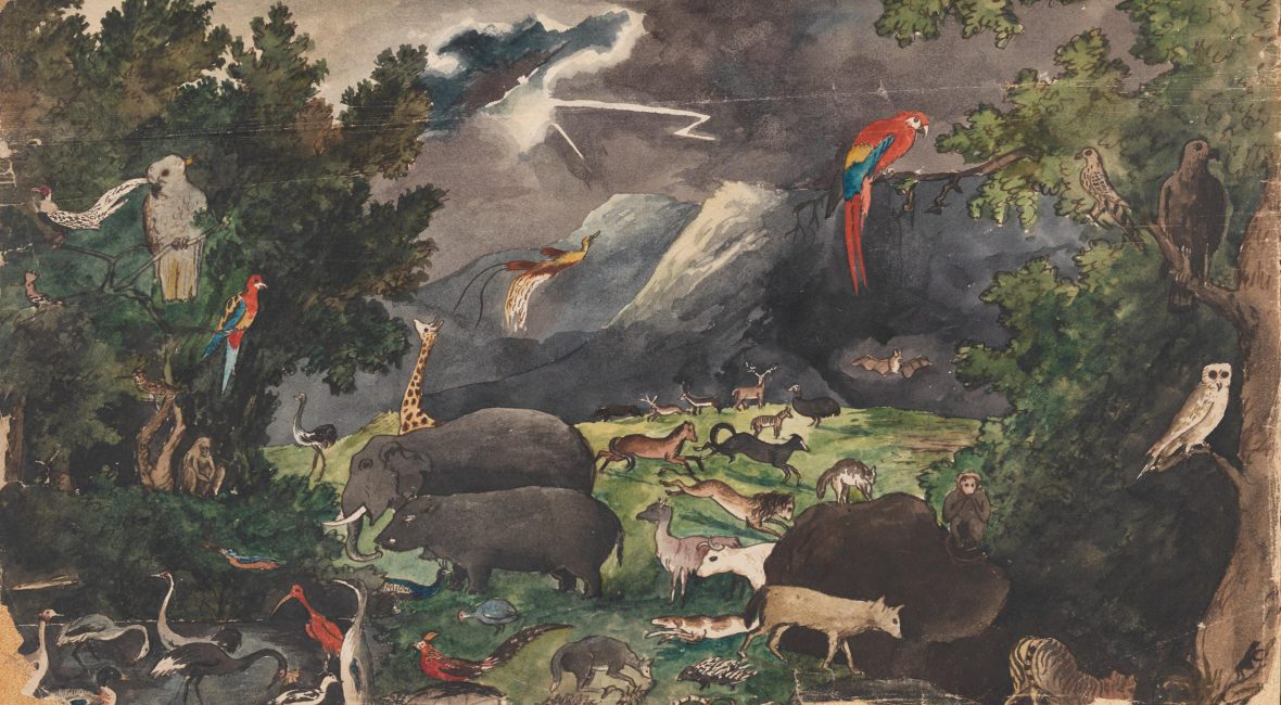 Read the full blog post