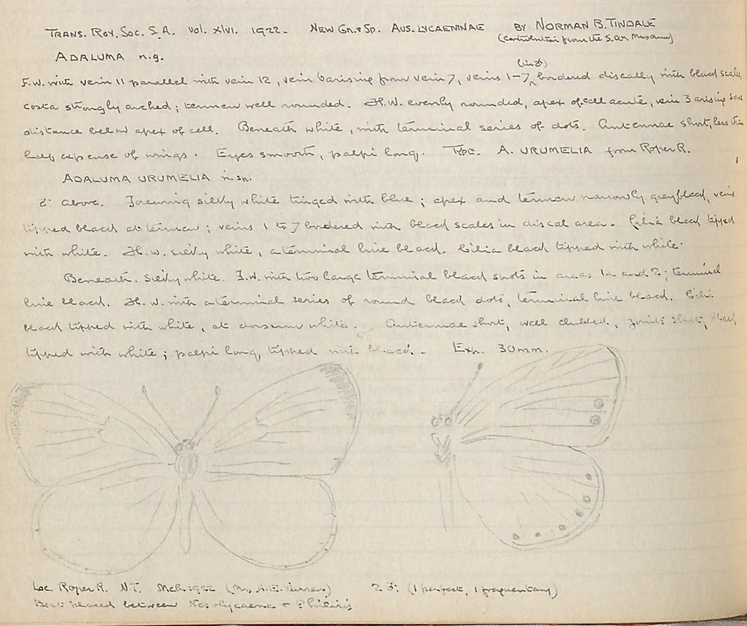 Revised description crop.jpg