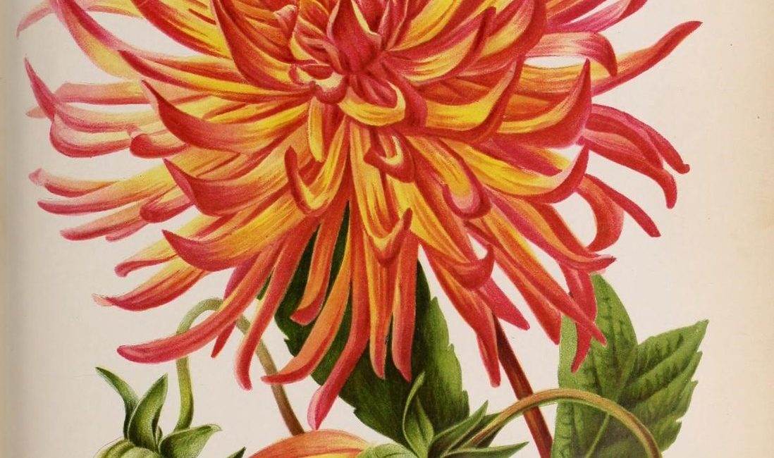 Read the full blog post