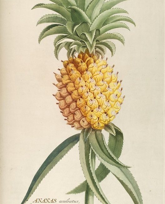 Read the full blog post