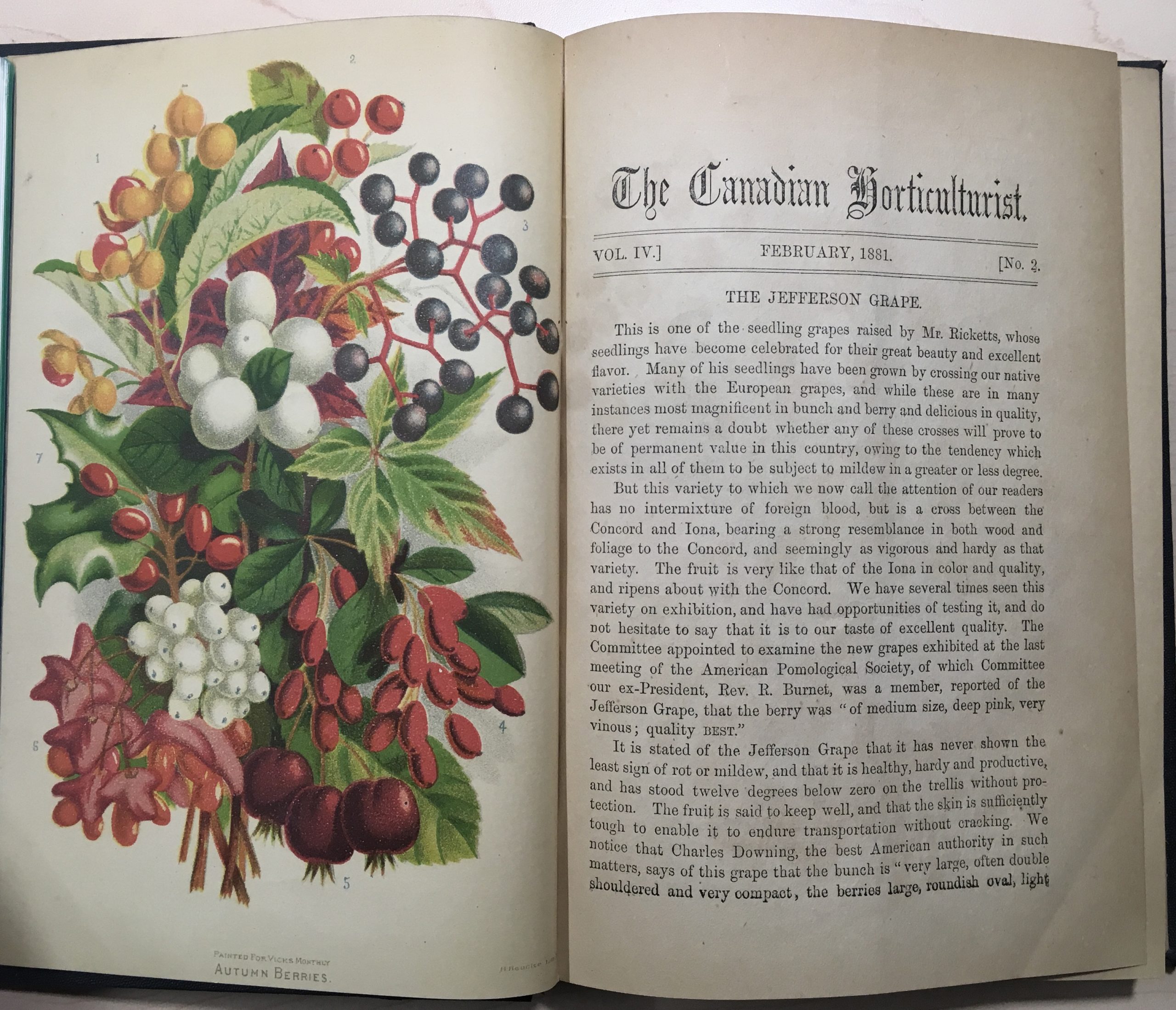 open book with flower illustration on left and text on right