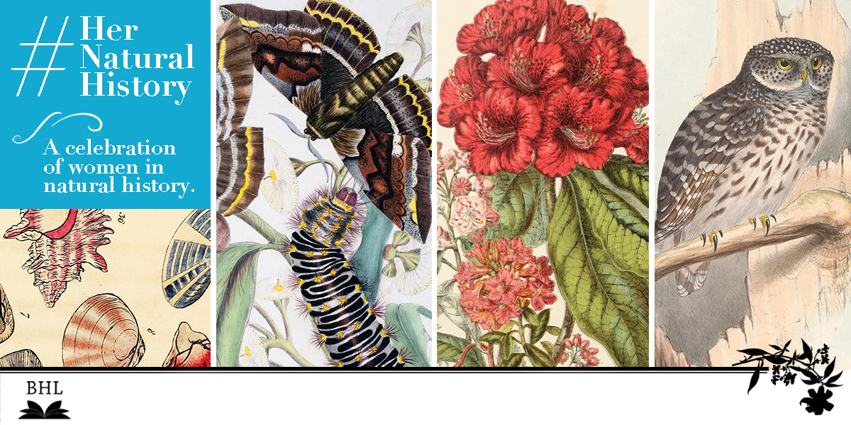 Her Natural History graphic