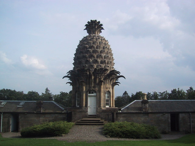 pineapple building
