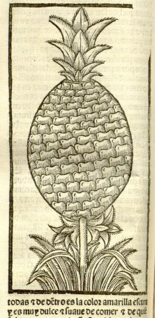 woodcut of a pineapple