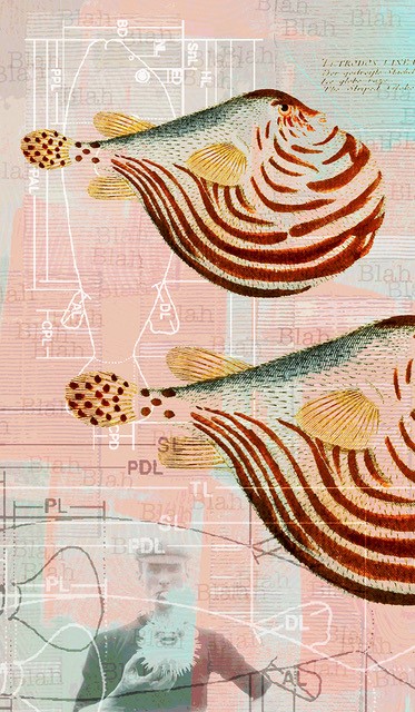 red and blue painting with blowfish in the background