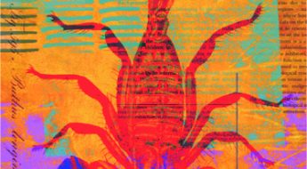 red, purple, blue and green artwork with scorpion in the background