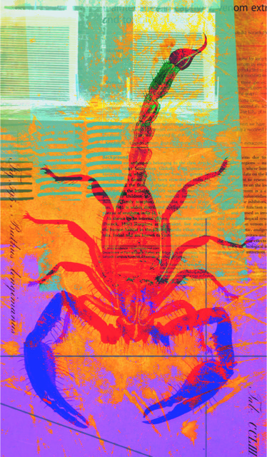 red, purple, blue and green artwork with scorpion in the background