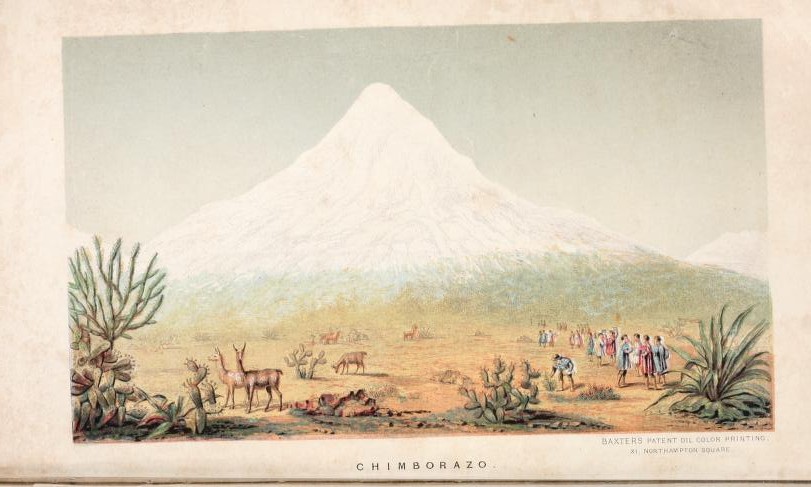 A snow-covered mountain in the distance, with a desert type scene with deer and people in the foreground.