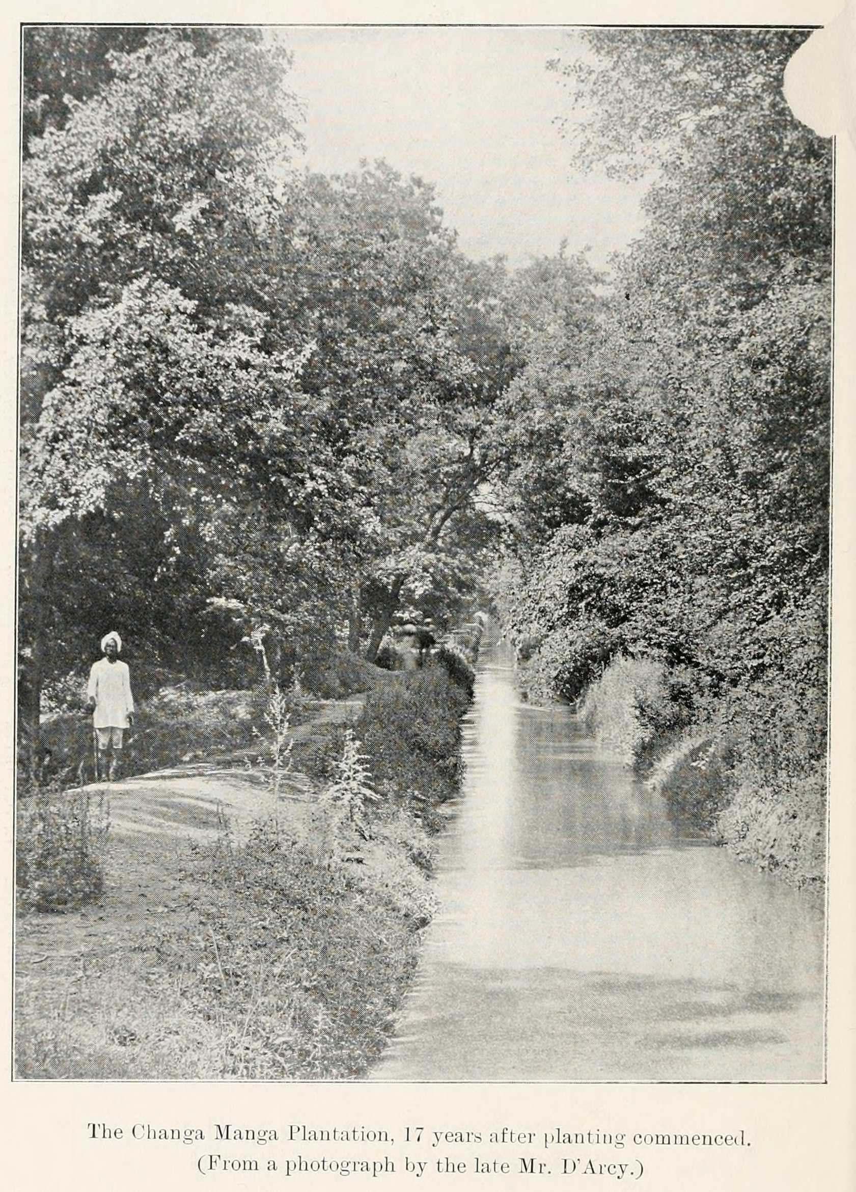black and white photo of a forest and stream