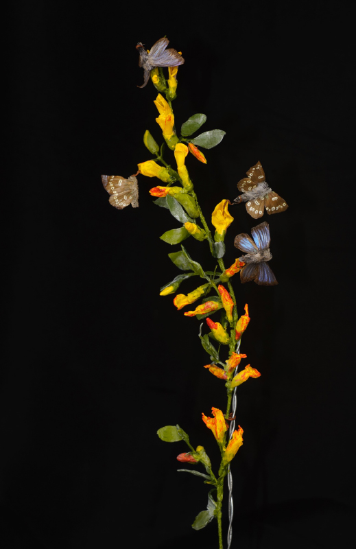 model of butterflies on a plant