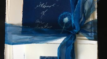 papers bound in blue ribbon