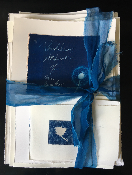 papers bound in blue ribbon