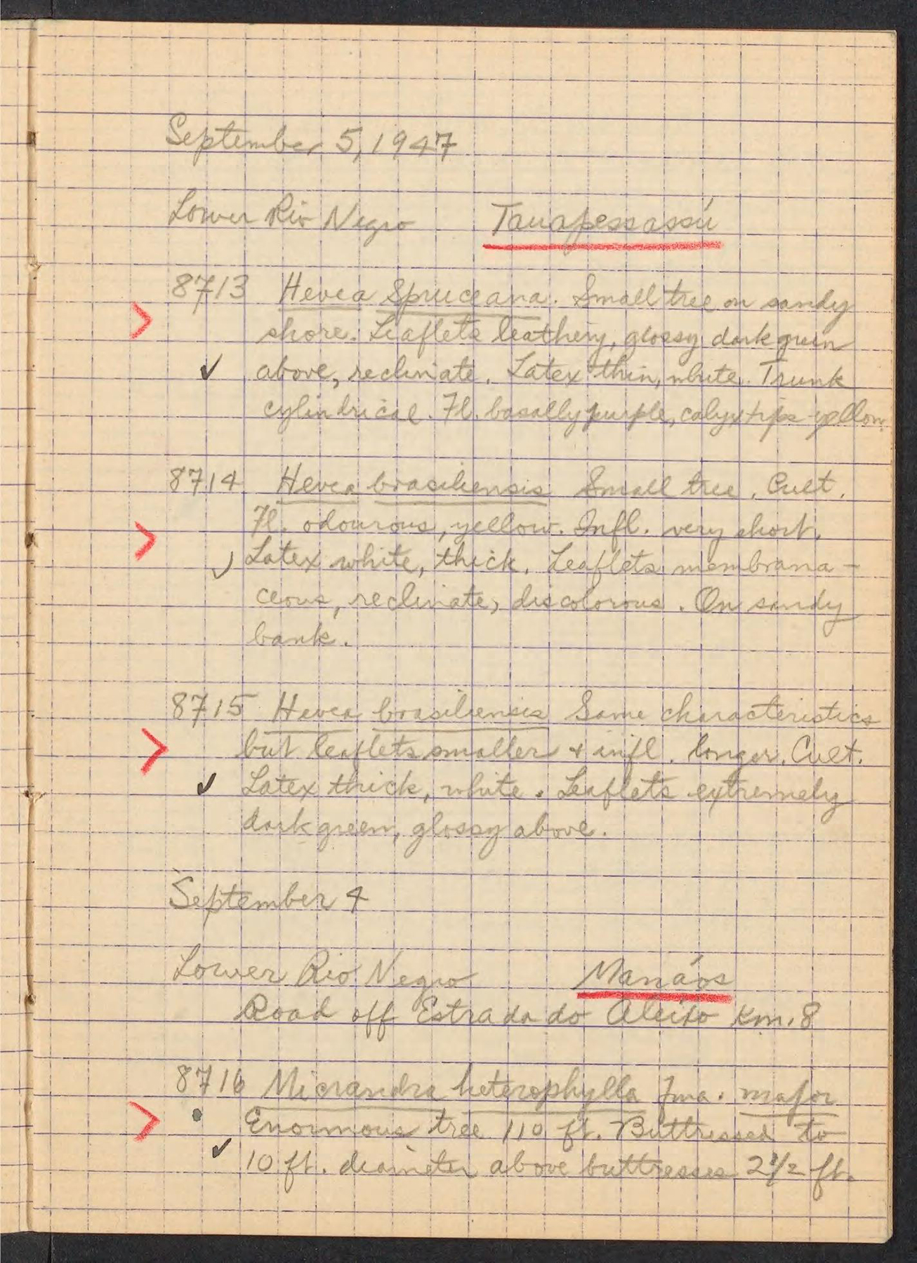 page from a handwritten notebook