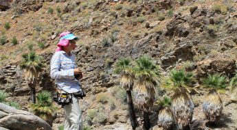 woman in a hat standing in the desert looking at palm trees