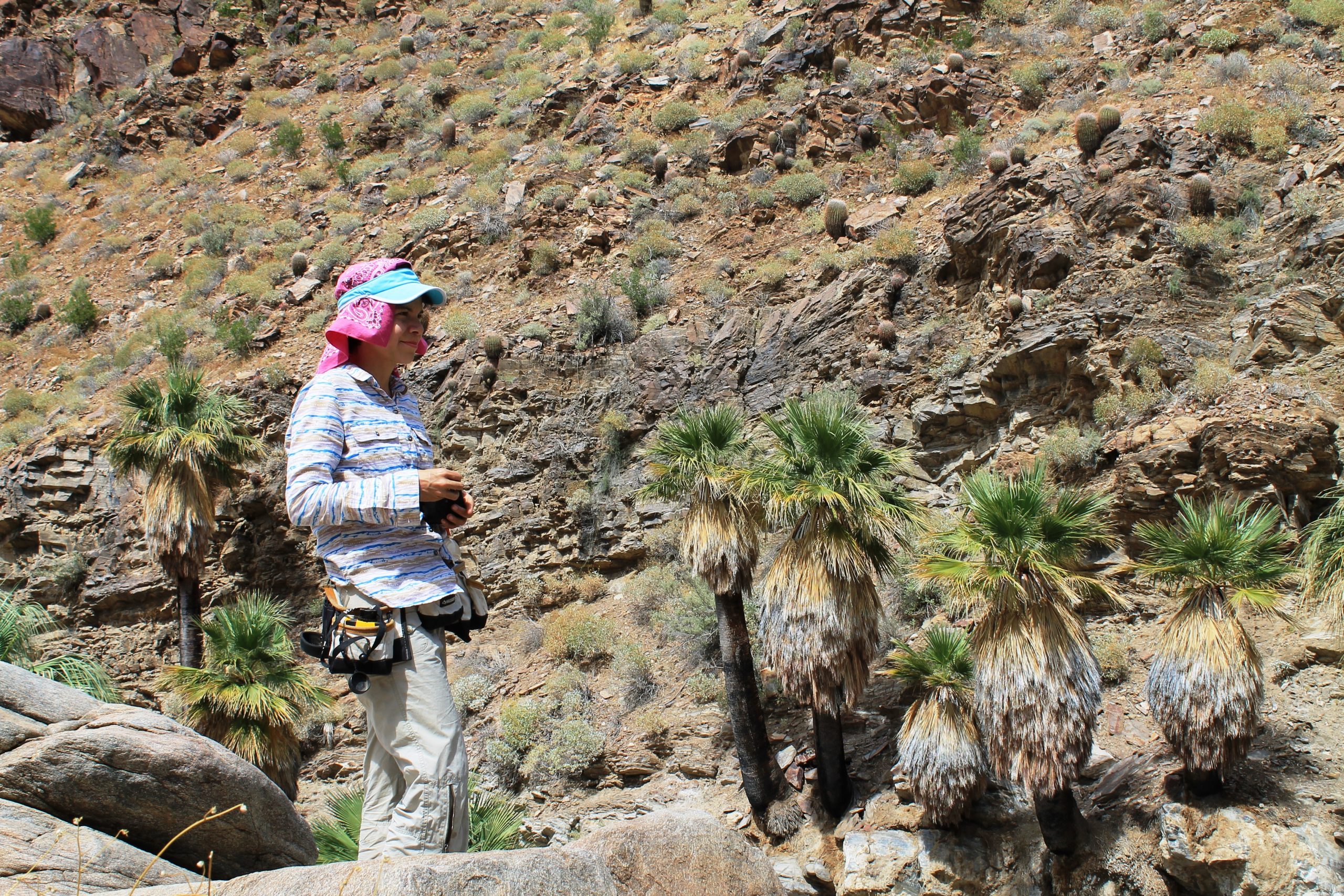 woman in a hat standing in the desert looking at palm trees