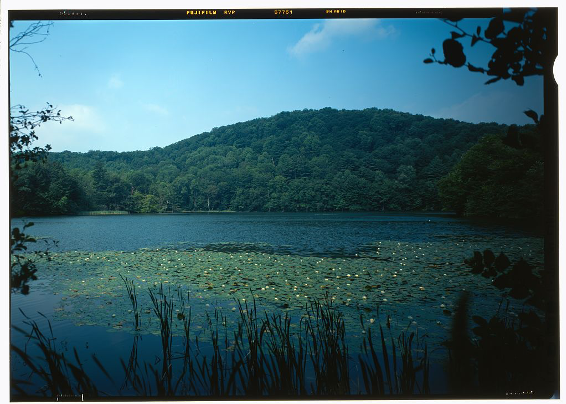 View of the pogue, looking west and illustrating the relation of this mountain pond to the surrounding forest slopes of the Mt. Tom Forest. Marsh-Billings-Rockefeller National Historical Park, boyhood home of George Perkins Marsh. Historic American Landscape Survey, Library of Congress Prints & Photographs Division. image link: https://cdn.loc.gov/service/pnp/habshaer/vt/vt0100/vt0131/color/218497cv.jpg Record link: https://www.loc.gov/item/vt0131/