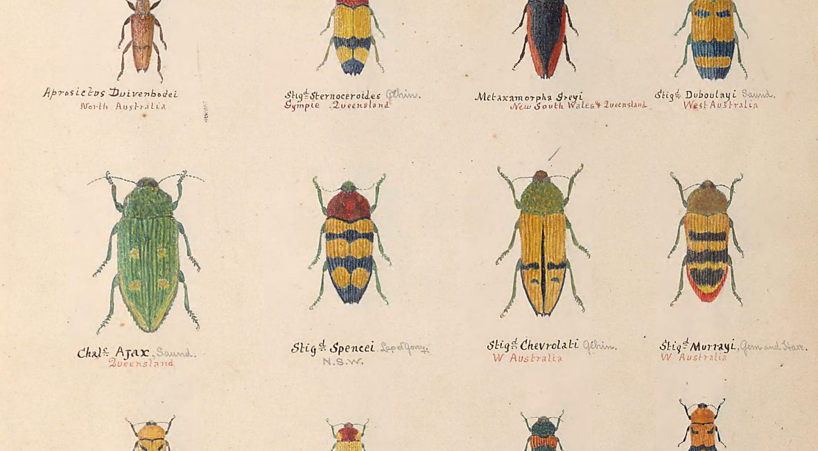 Read the full blog post