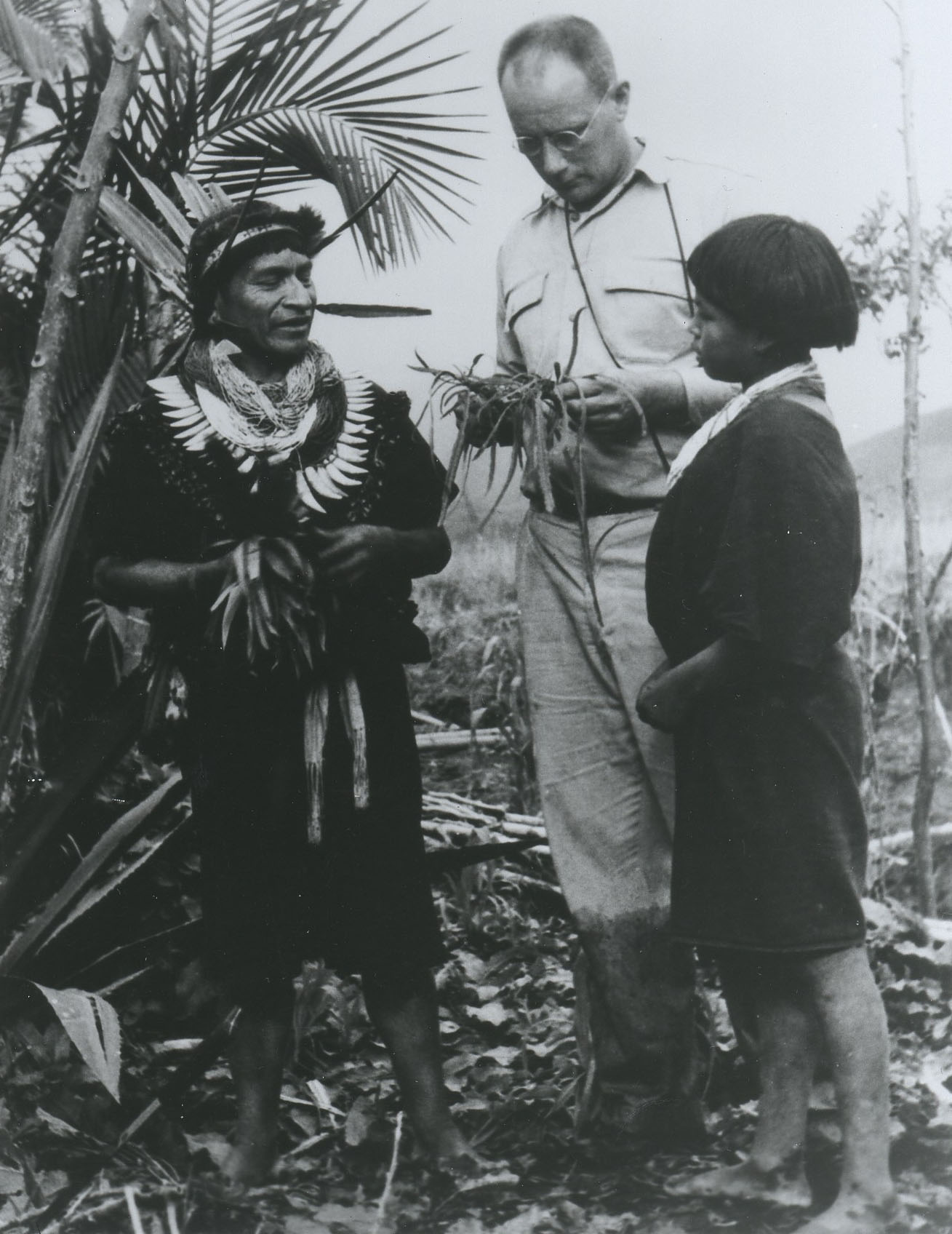 black and white photo of three people standing in a forest looking at plant specimens