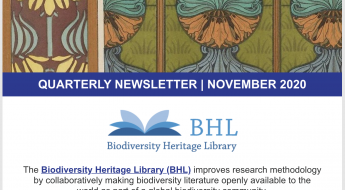 Screenshot of the November quarterly newsletter