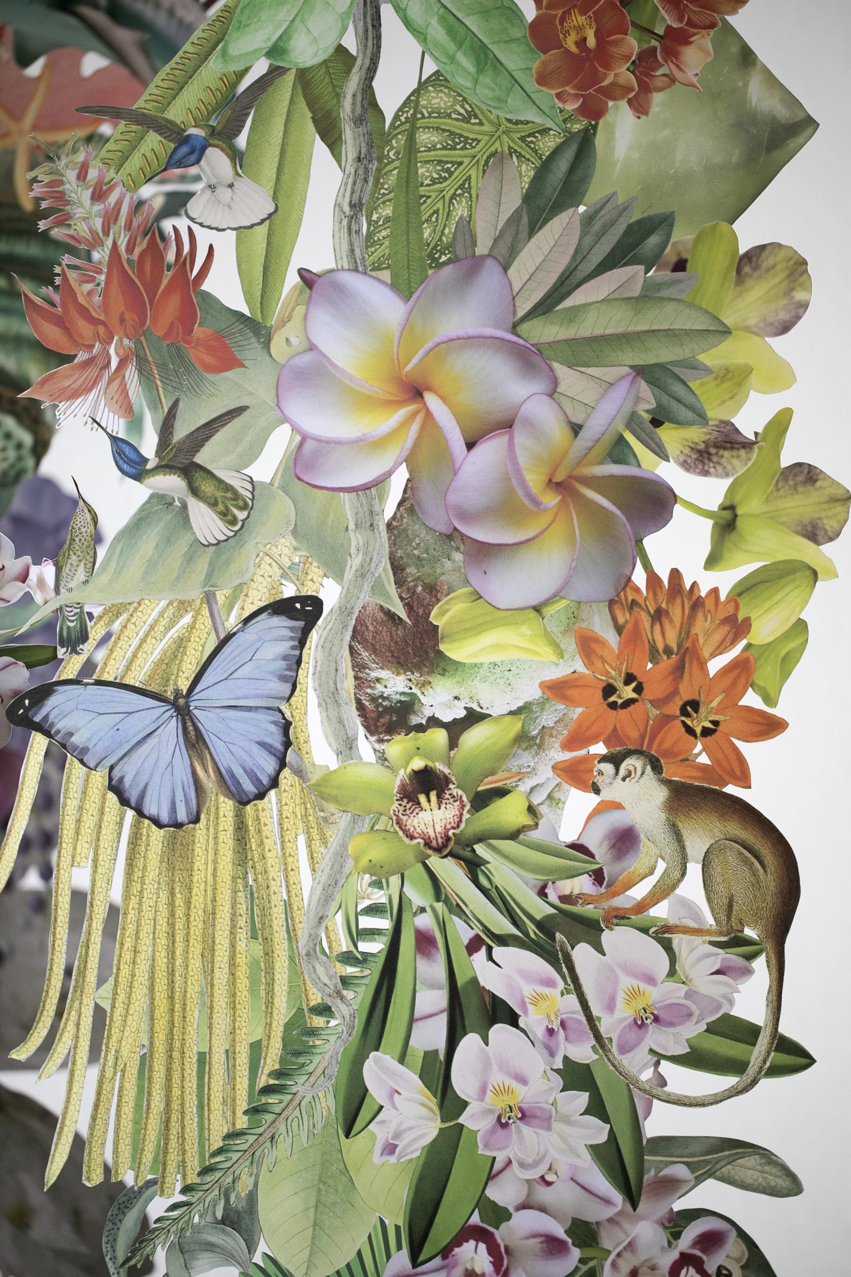 collages illustrations of various bird heads and feet