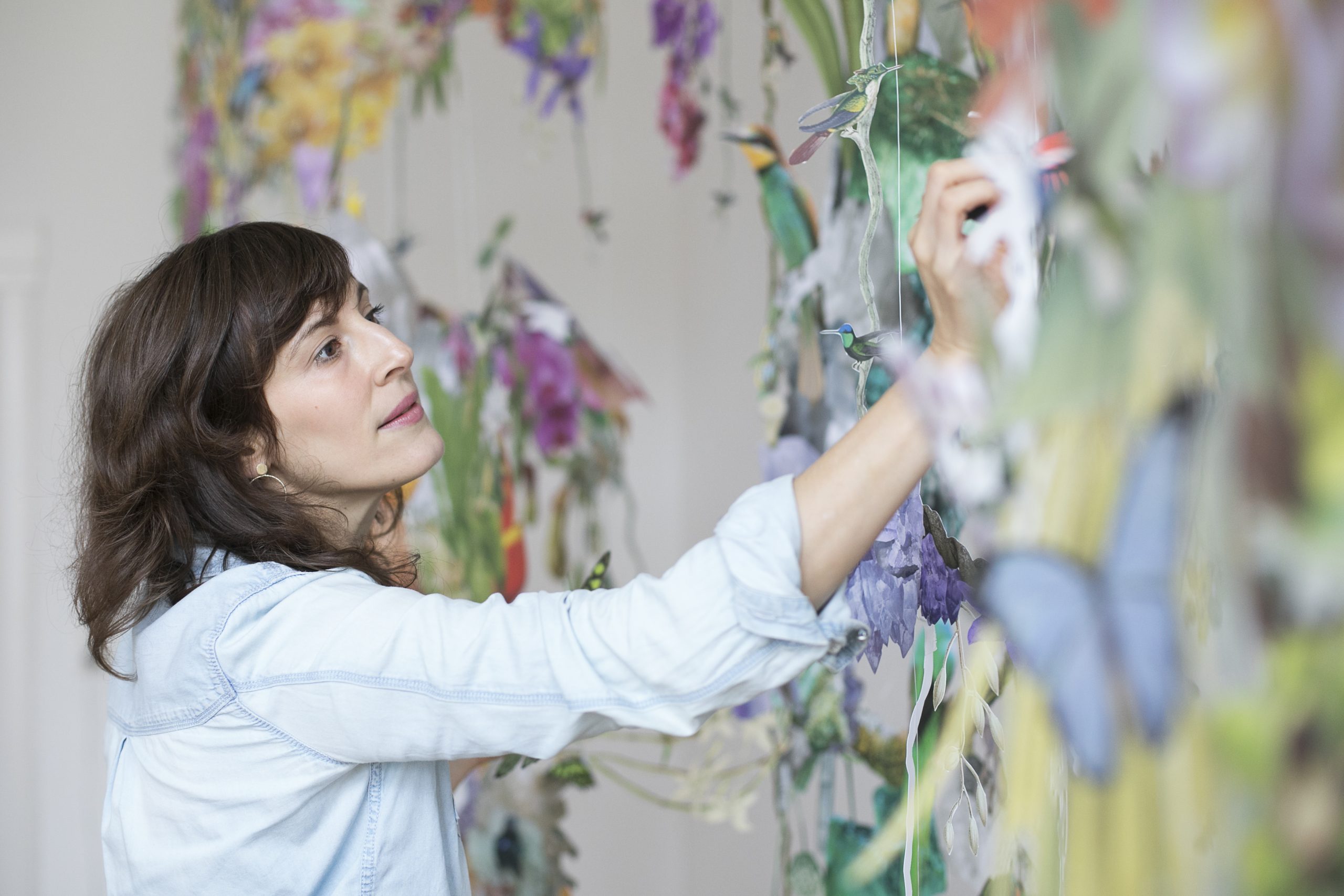 collage installation art featuring various biodiversity figures