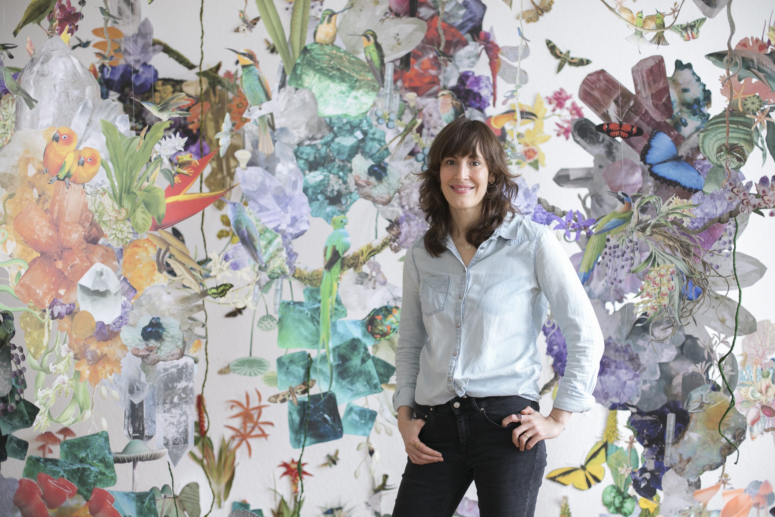 collage installation art featuring various biodiversity figures