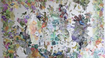 Collage installation art with various biodiversity figures.