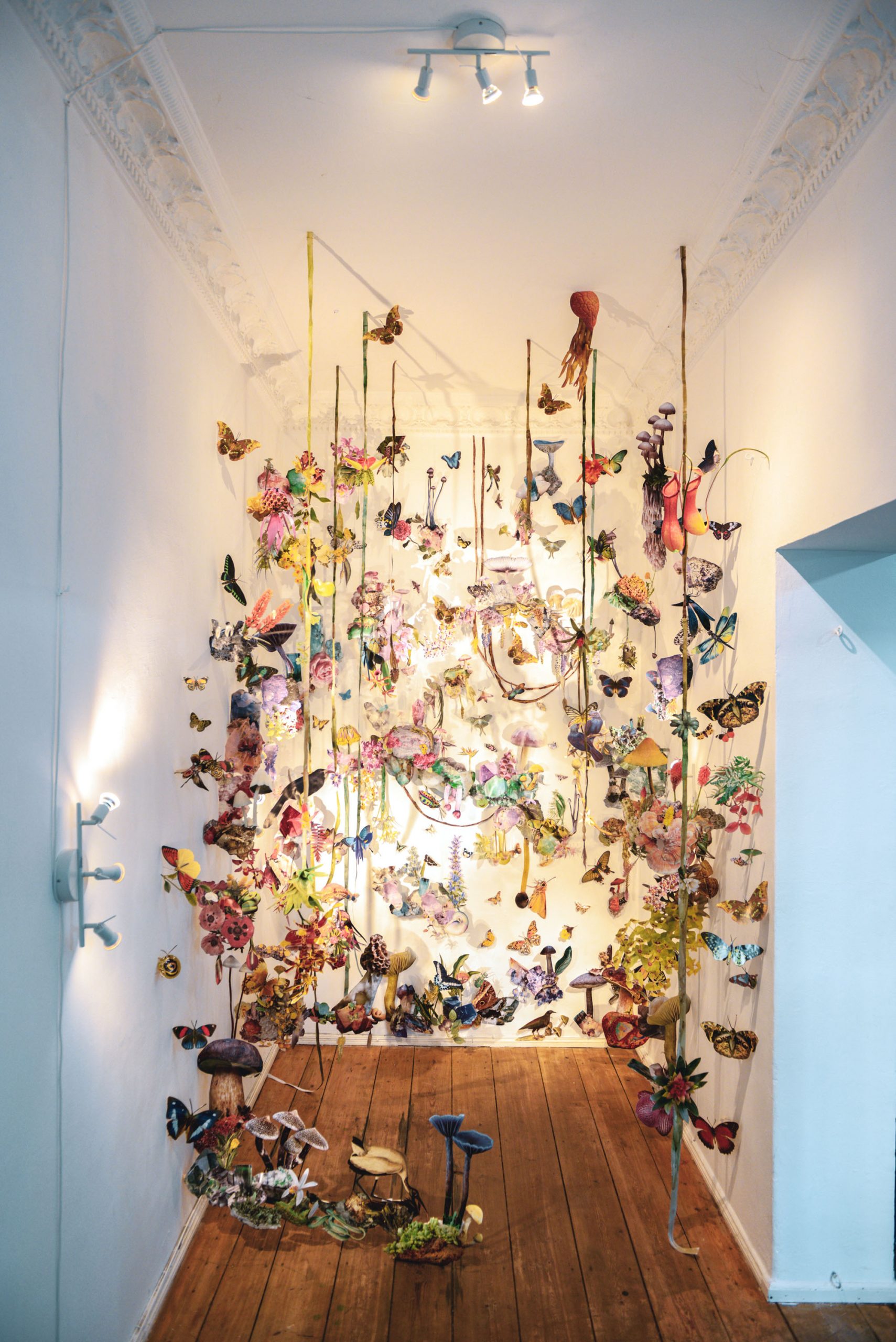 collage installation art featuring various biodiversity figures