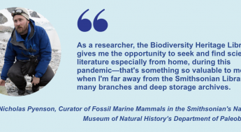 "As a researcher, the Biodiversity Heritage Library gives me the opportunity to seek and find scientific literature especially from home, during this pandemic—that's something so valuable to me, when I'm far away from the Smithsonian Libraries’ many branches and deep storage archives." Dr. Nicholas Pyenson, Curator of Fossil Marine Mammals in the Smithsonian's National Museum of Natural History’s Department of Paleobiology