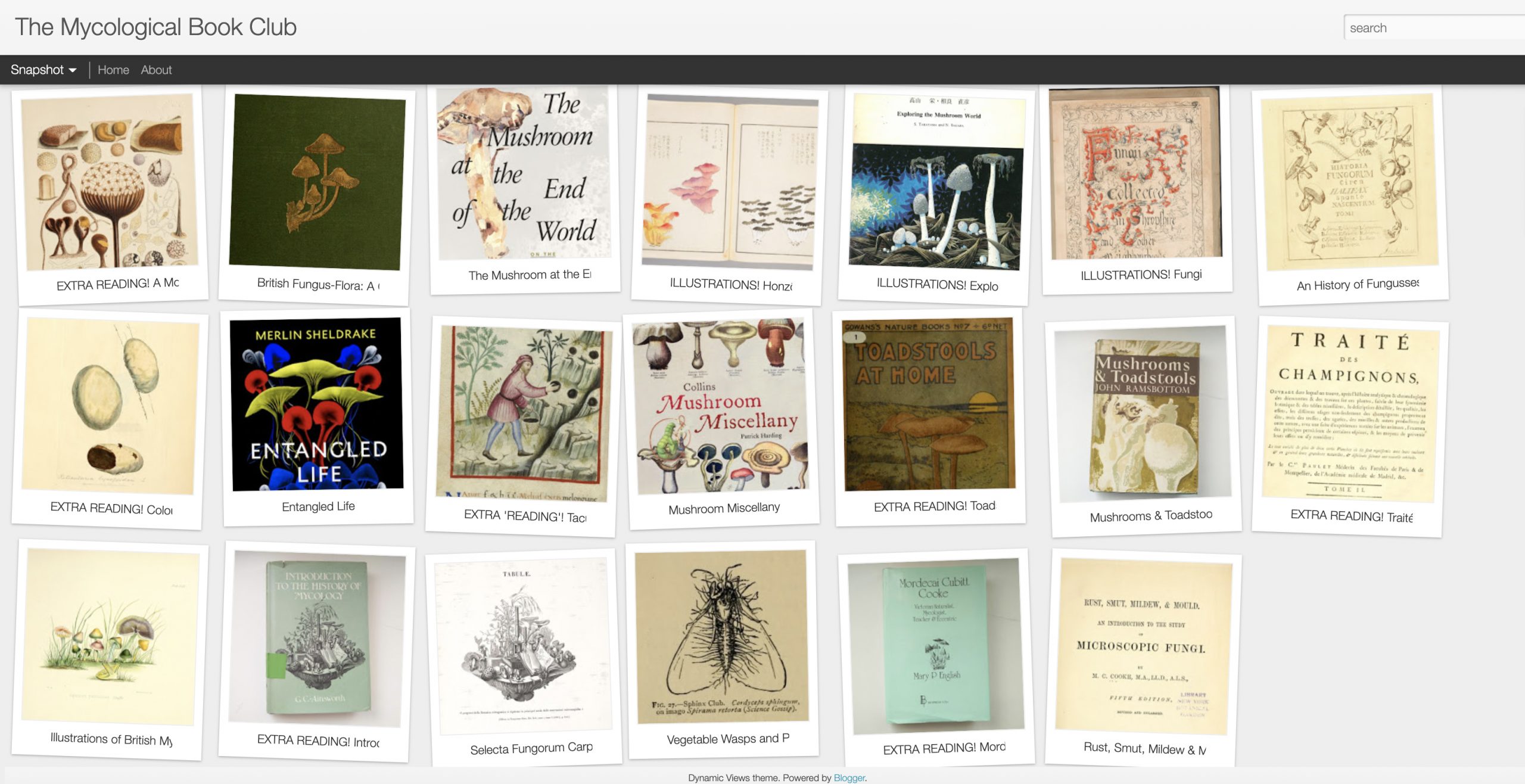 Screenshot of a virtual bookshelf with thumbnails of book covers.